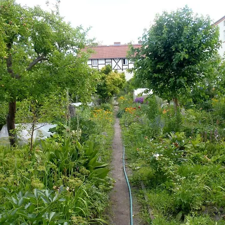 Ferienwohnung Am Stadtsee Апартаменты *