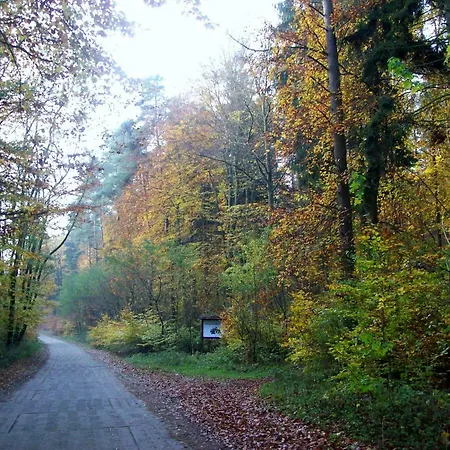 Ferienwohnung Am Stadtsee Апартаменты Лихен